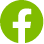 Facebook logo in green