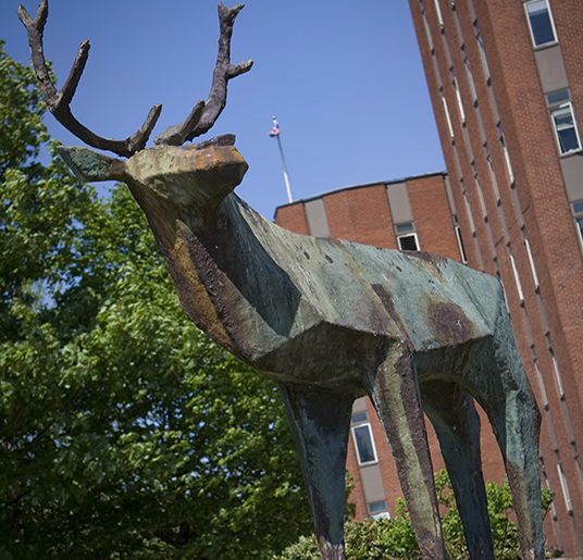 Cannock Chase Council deer sculpture