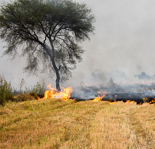Smoke/fire burning from fields
