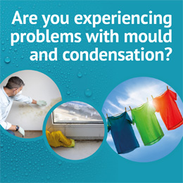 Damp and Mould campaign