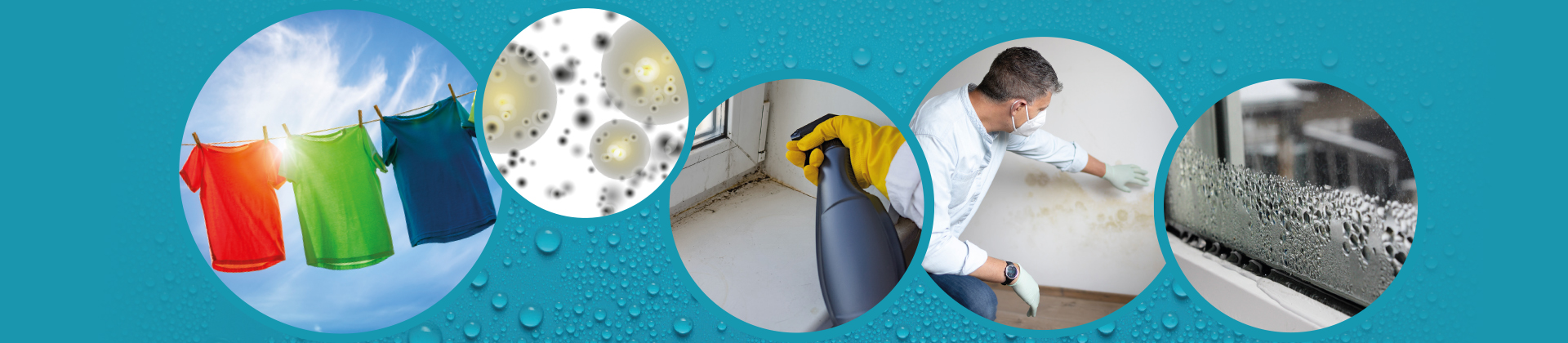 damp and mould - how to reduce condensation in your home