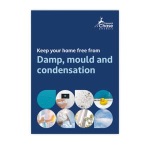 Damp mould and condensation leaflet front cover