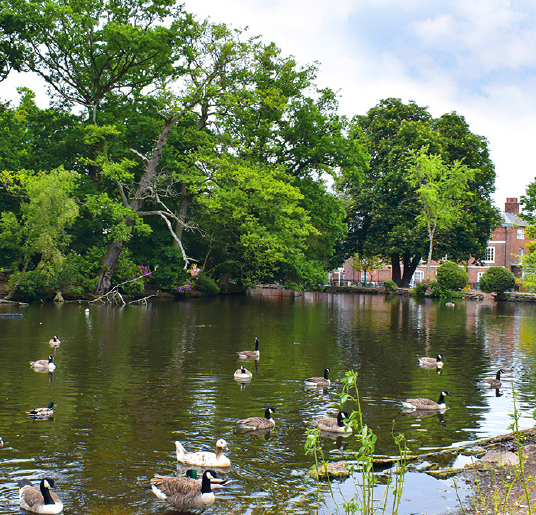 Elmore Park, Rugeley